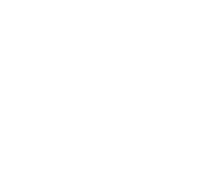 Whale Works Design