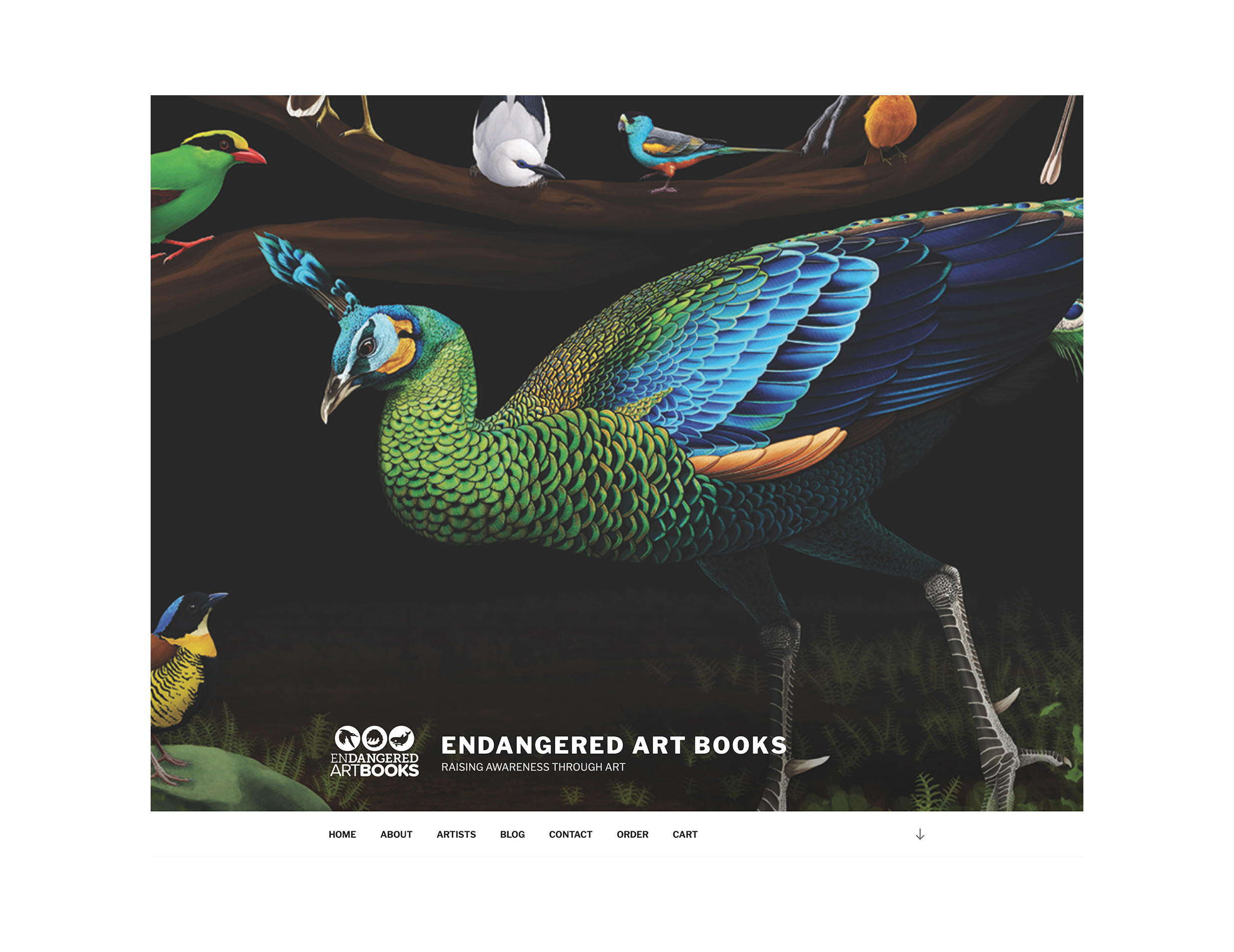 Endangered Art Books Website