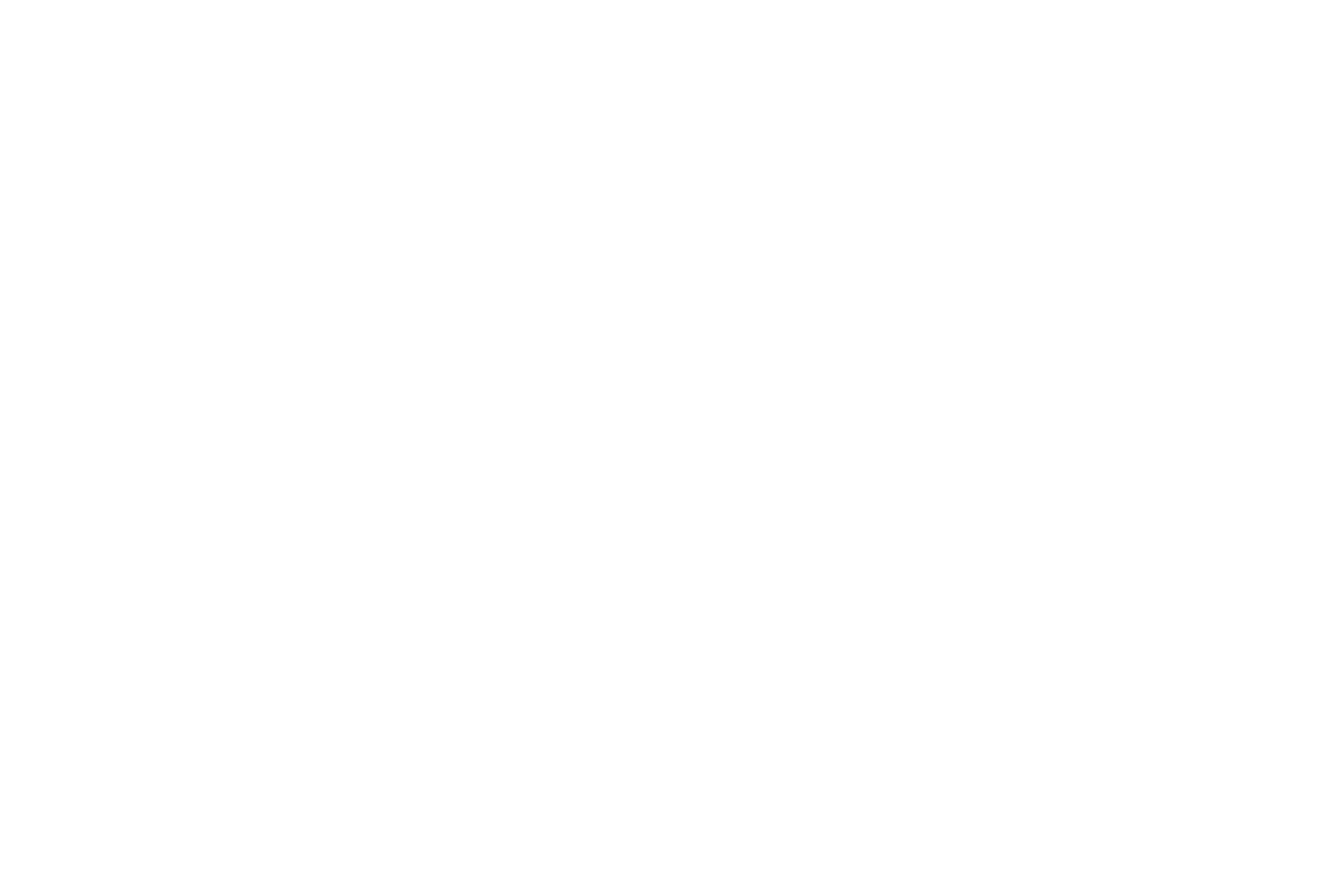Budova Engineering Logo White